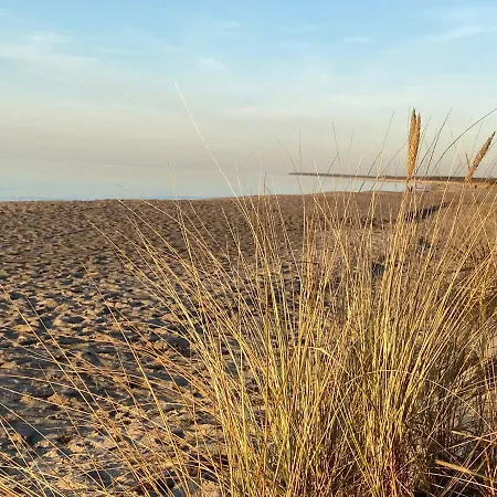 Duenenhopser Rostock