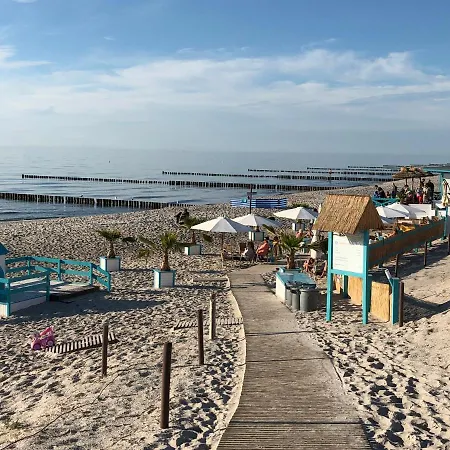 Duenenhopser * רוסטוק