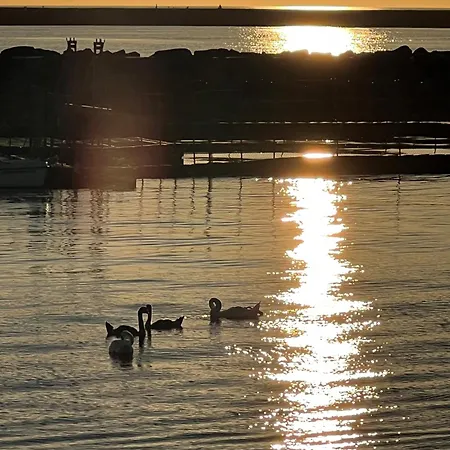 Dünenhopser * Rostock