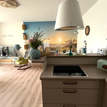 Duenenhopser Apartment