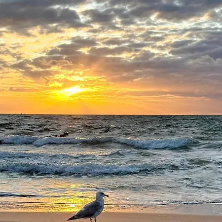 Duenenhopser Apartment