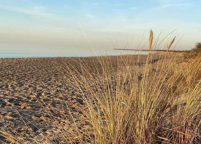 Duenenhopser Rostock