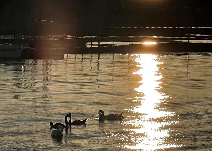 Duenenhopser * Rostock